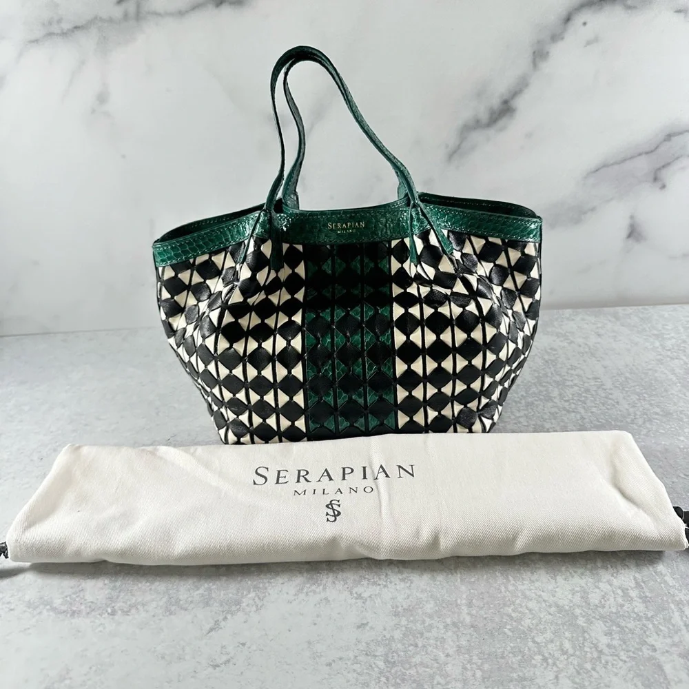 Serapian Mini Secret Bag in Mosaico Elaphe
